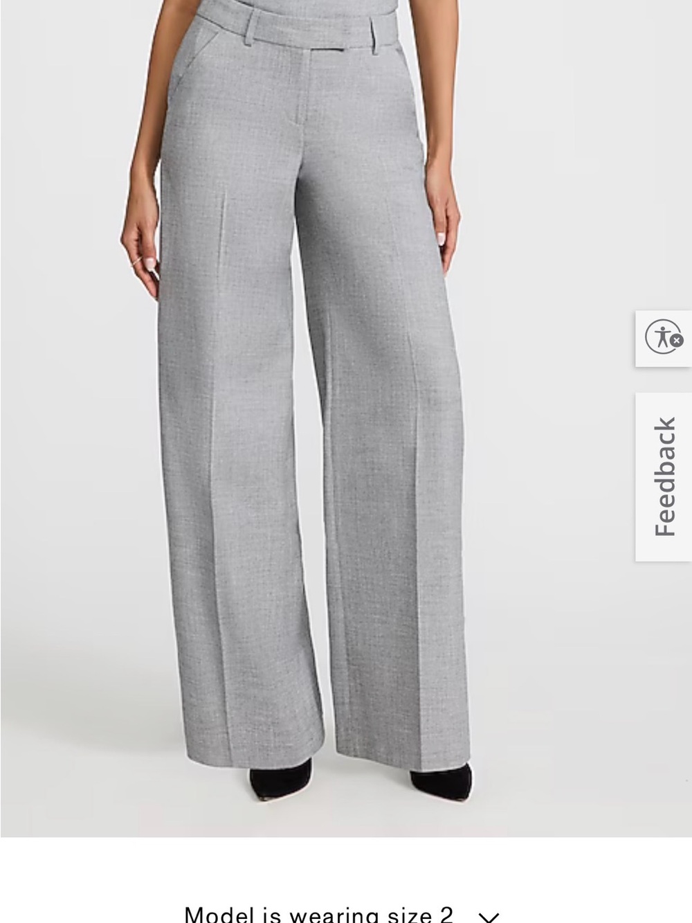 Express Wide Leg Pants in Light Gray